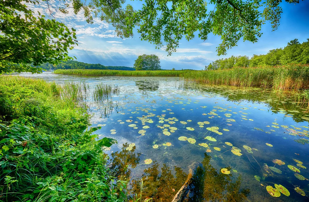 mazury